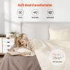 King Quilt Set, 3-Piece Lightweight Comforter, Cotton King Size Quilt Bedding Set, Beige Bedspreads with 1 Quilt and 2 Pillow Shams
