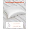 Silk Pillowcase, 100% Pure Mulberry Silk Pillow Case, 26 in x 20 in Standard Silky Pillow Case for Hair and Skin, Smooth