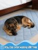 40x60in Large Cooling Blanket for Dogs - Machine Washable Soft Blanket with Q-MAX>0.4, Fits Medium Large Dogs
